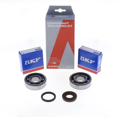 Kit Revisione Albero
