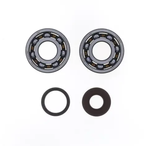 Kit Revisione Albero