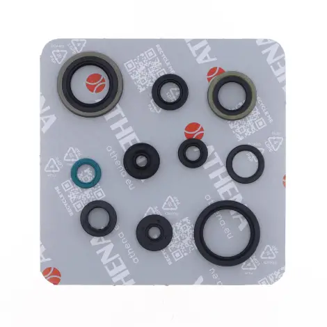 Serie Paraolio Motor