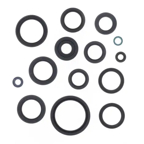 Serie Paraolio Motor
