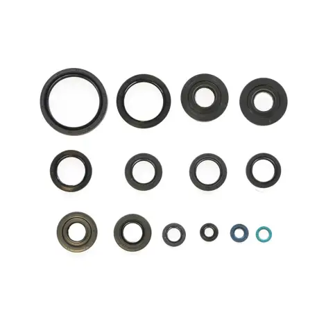 Serie Paraolio Motor