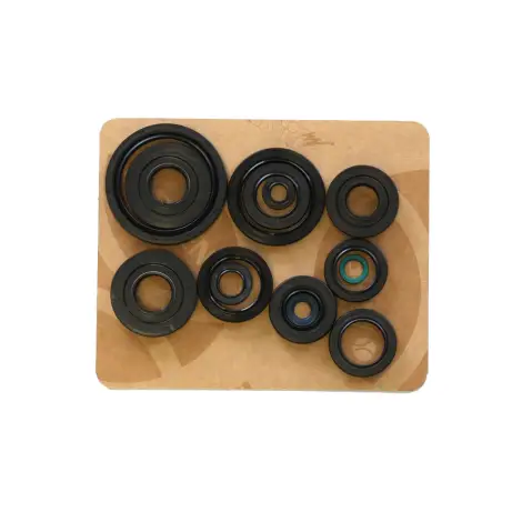 Serie Paraolio Motor