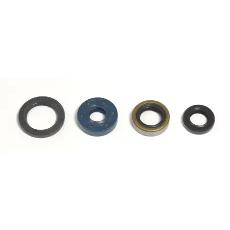 Serie Paraolio Motor