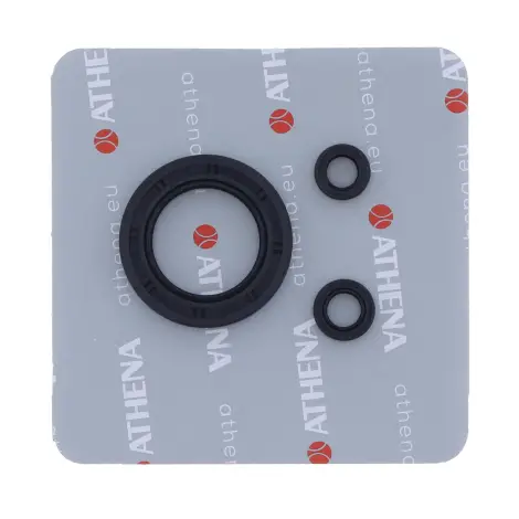 Serie Paraolio Motor