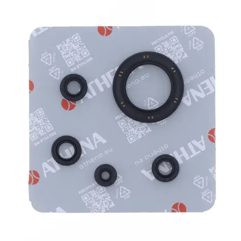 Serie Paraolio Motor