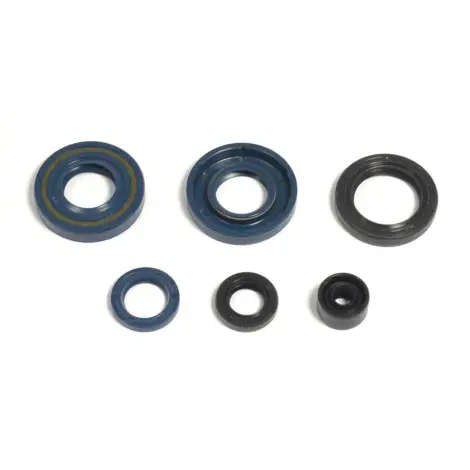 Serie Paraolio Motor