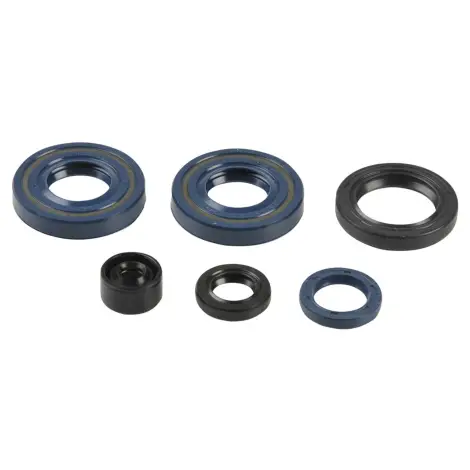 Serie Paraolio Motor
