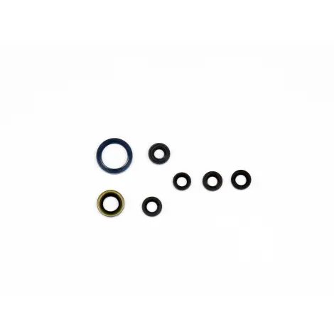 Serie Paraolio Motor