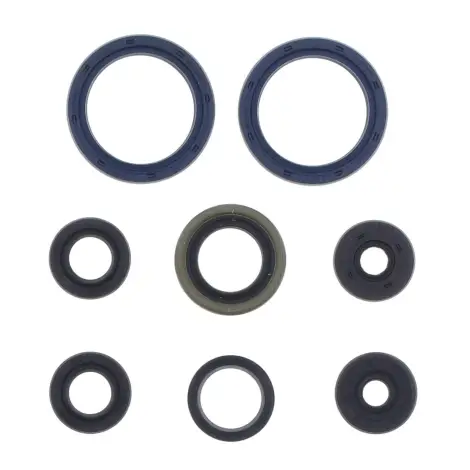 Serie Paraolio Motor