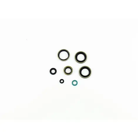Serie Paraolio Motor