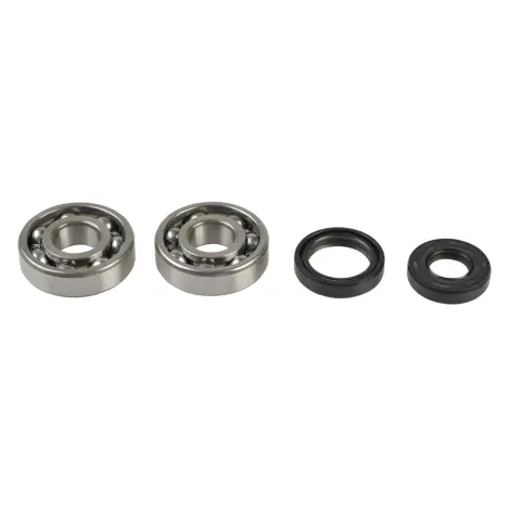 Kit Revisione Albero
