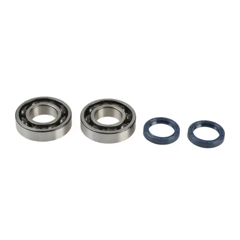 Kit Revisione Albero