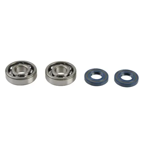 Kit Revisione Albero