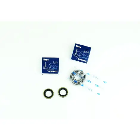 Kit Revisione Albero