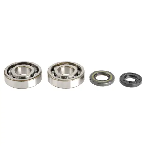 Kit Revisione Albero