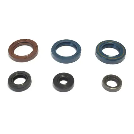 Serie Paraolio Motor