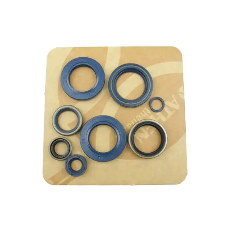 Serie Paraolio Motor
