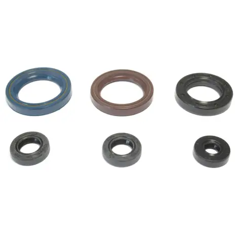 Serie Paraolio Motor