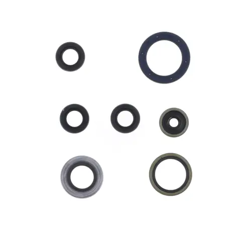 Serie Paraolio Motor