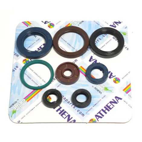 Serie Paraolio Motor