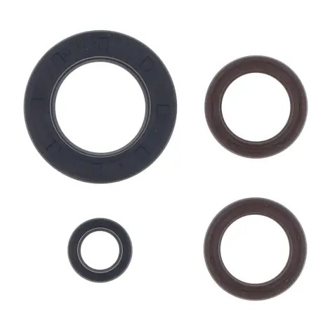 Serie Paraolio Motor
