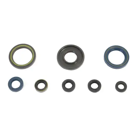 Serie Paraolio Motor