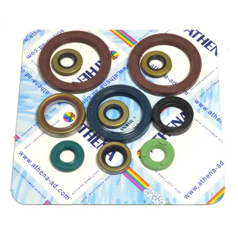 Serie Paraolio Motor
