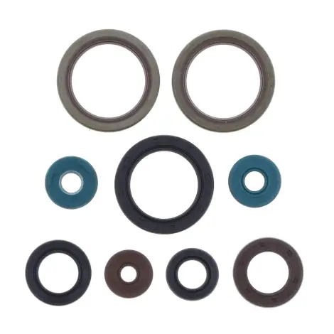 Serie Paraolio Motor