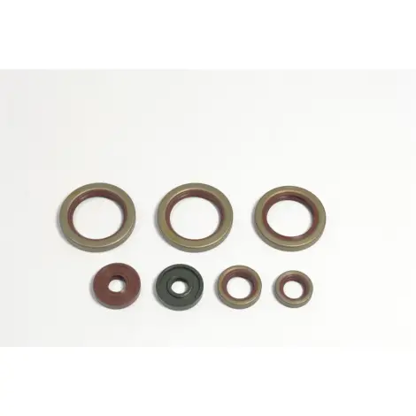 Serie Paraolio Motor