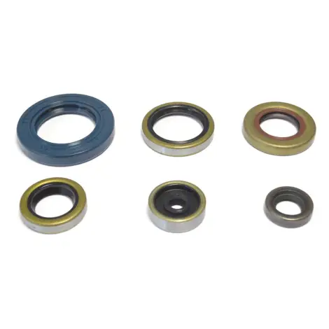 Serie Paraolio Motor