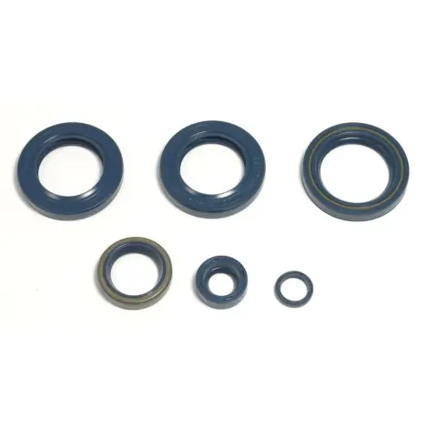 Serie Paraolio Motor