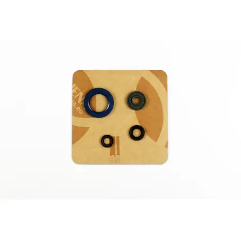 Serie Paraolio Motor