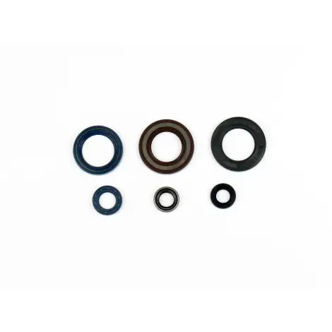 Serie Paraolio Motor