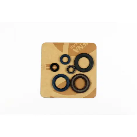 Serie Paraolio Motor