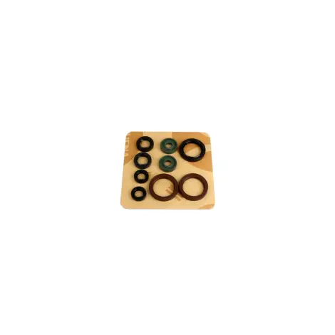 Serie Paraolio Motor