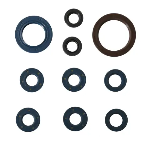 Serie Paraolio Motor