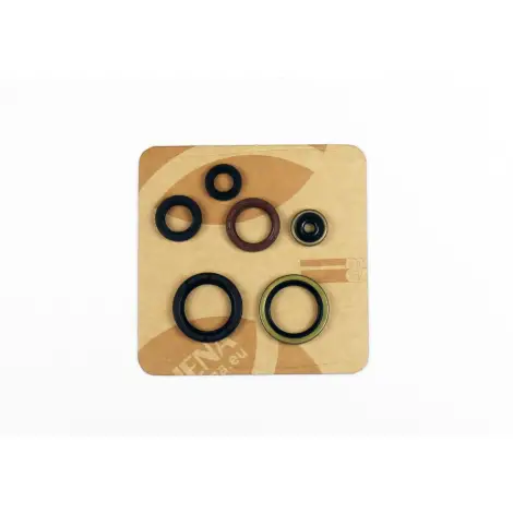 Serie Paraolio Motor