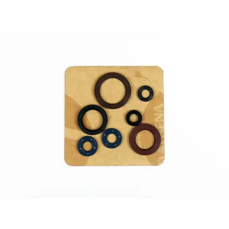 Serie Paraolio Motor