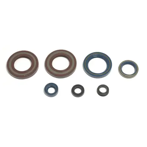 Serie Paraolio Motor