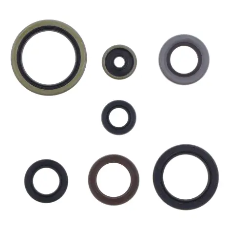 Serie Paraolio Motor