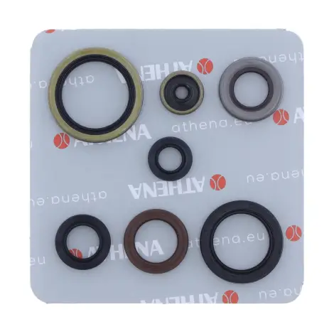Serie Paraolio Motor