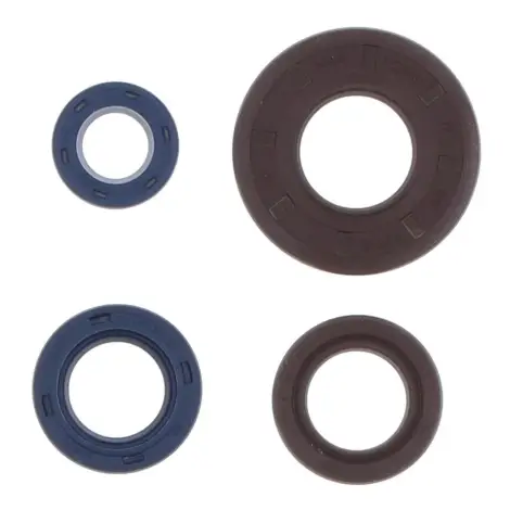 Serie Paraolio Motor