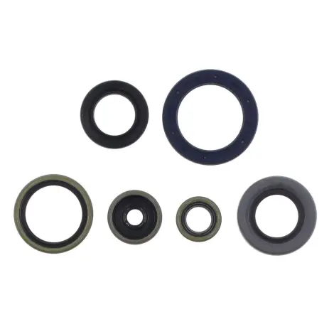 Serie Paraolio Motor