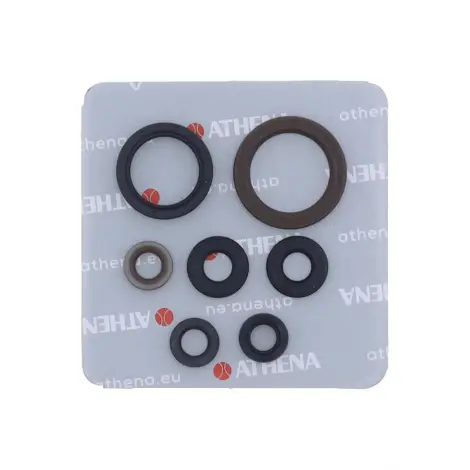 Serie Paraolio Motor