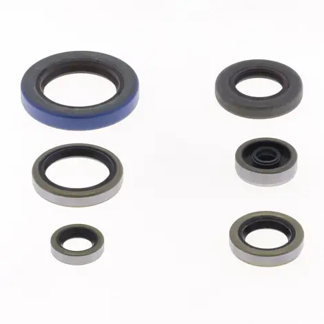 Serie Paraolio Motor