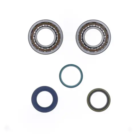 Kit Revisione Albero
