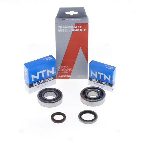 Kit Revisione Albero