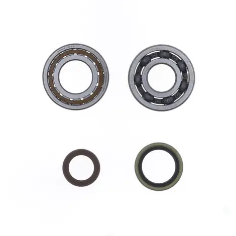 Kit Revisione Albero