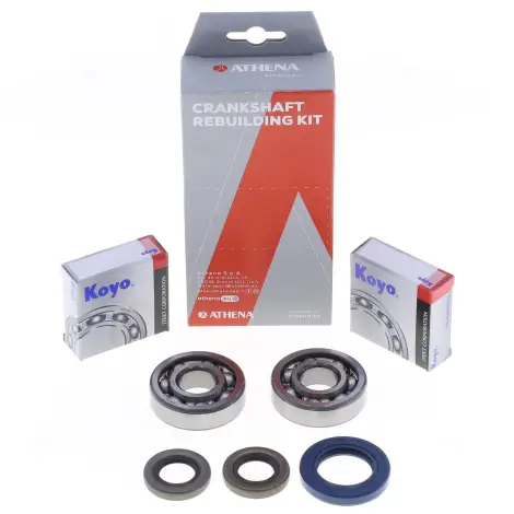 Kit Revisione Albero