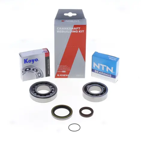 Kit Revisione Albero